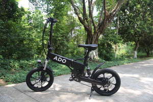 A16  Folding Electric Bicycle