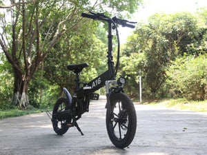 A16  Folding Electric Bicycle