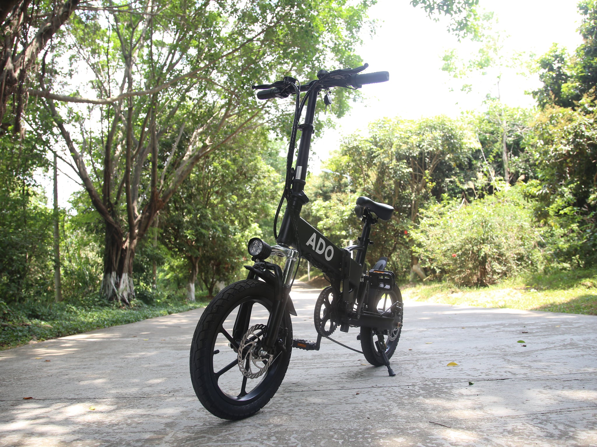 A16  Folding Electric Bicycle